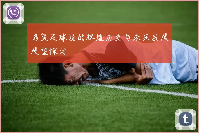 鸟巢足球场的辉煌历史与未来发展展望探讨