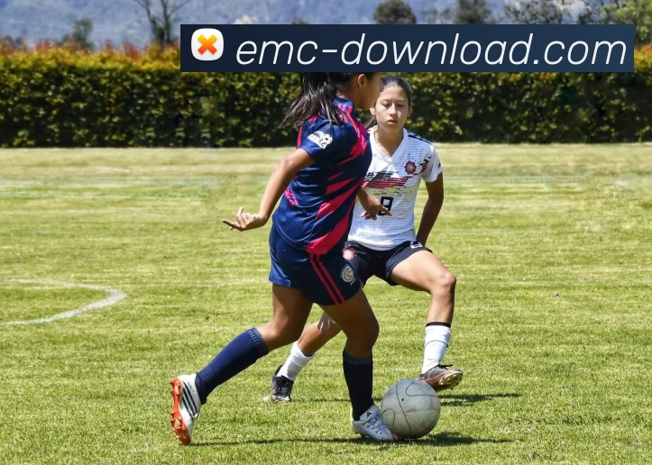 投注平台APP 高清赛事图